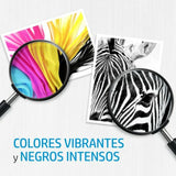 V4H8D95C5504A6B82972380ABCDC8B79736R4992373P9