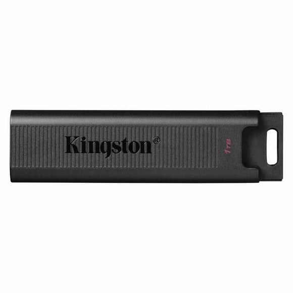 USB stick   Kingston DTMAX/1TB         Black