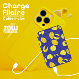 V5HF223349E3DF981BBB2FB16B608355209R6178859P6