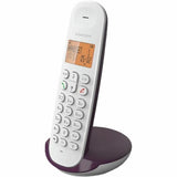 V6H5CD28EFBF86AAC419F5A4C5108BC48FCR3988919P2