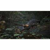 V4H36D6642095E7C12D1F32305A28246865R7049410P6