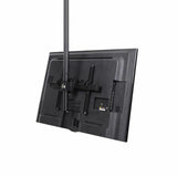 TV Mount Startech FPCEILPTBLP 50 kg 32" 75"