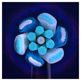 V1H482C6B807F47C57A4EB73202EC16A4FARP8