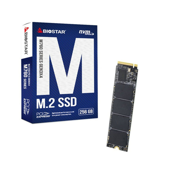 Hard Drive Biostar M760 256 GB SSD
