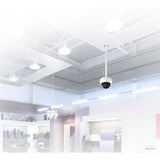 V2H1947CA2E24CE041C75A29A0FDA136F99R7731149P2