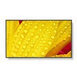 V3HA3774B8AEFFFAFD1AFBA5A84A81D5CCER7332282P1