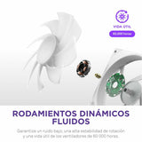 V4H3D3258A6E9094178406836B8EBAF3EE1R4813725P5