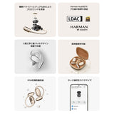 V2H45C819D1DB0B43BB55A02E75328FDFC0R7729084P10