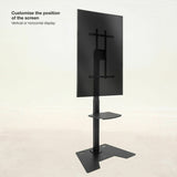 V8HCCB55D23CF1E1DDC5034650E256C2192R7284479P3