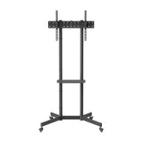 V3H01024138CEDDAA7C801AC7710F1973E4R5728019P2