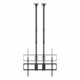 V2H0F3F15A2C78A7DE223A4F391DCC7459AR7020655P5