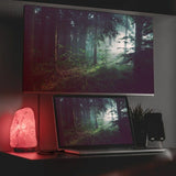 V5H20208619B72D87E65CC70729A9D510C3R6974934P4