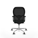 V5HD2FB0E09B707A26B856995B50826DDF8R6099274P5