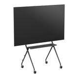 V4H1205C722949DFA85C13604C48D9679A9R7439145P6