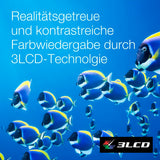 V4H6F993EF8B0295D26DE5BAD84626E8295R7512858P5