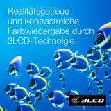 V2H6F993EF8B0295D26DE5BAD84626E8295R7512858P5