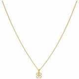 V6H2D81E12B338FED5402717A78231B2EB3R6493937P1